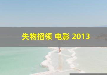 失物招领 电影 2013